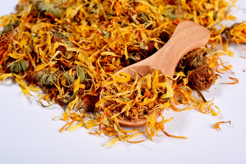 Calendula