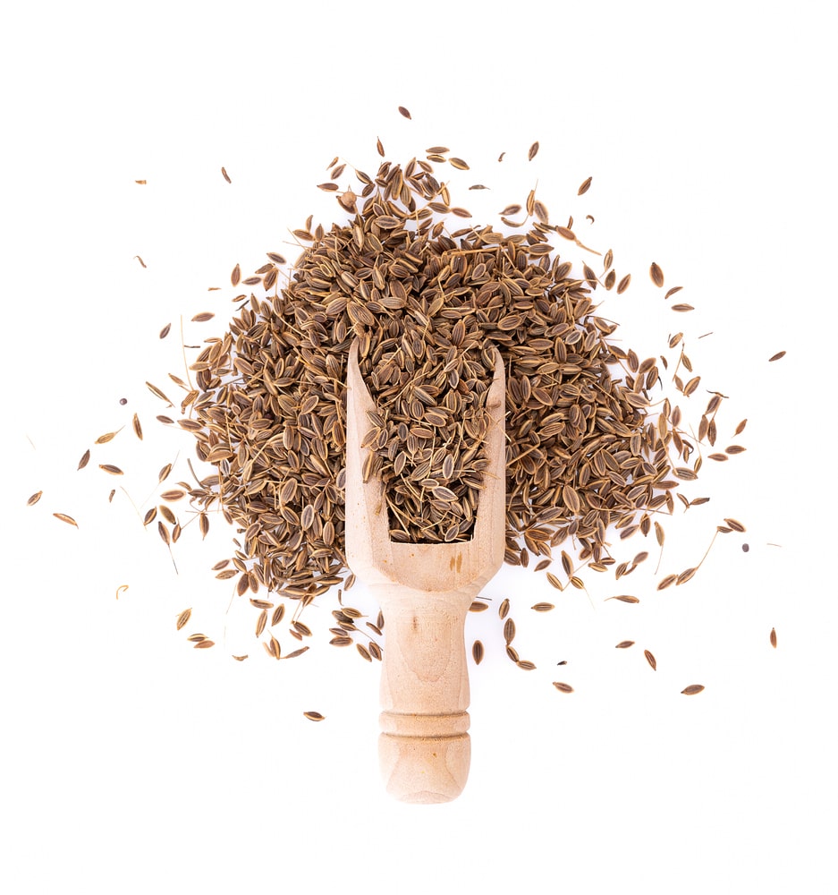 Caraway