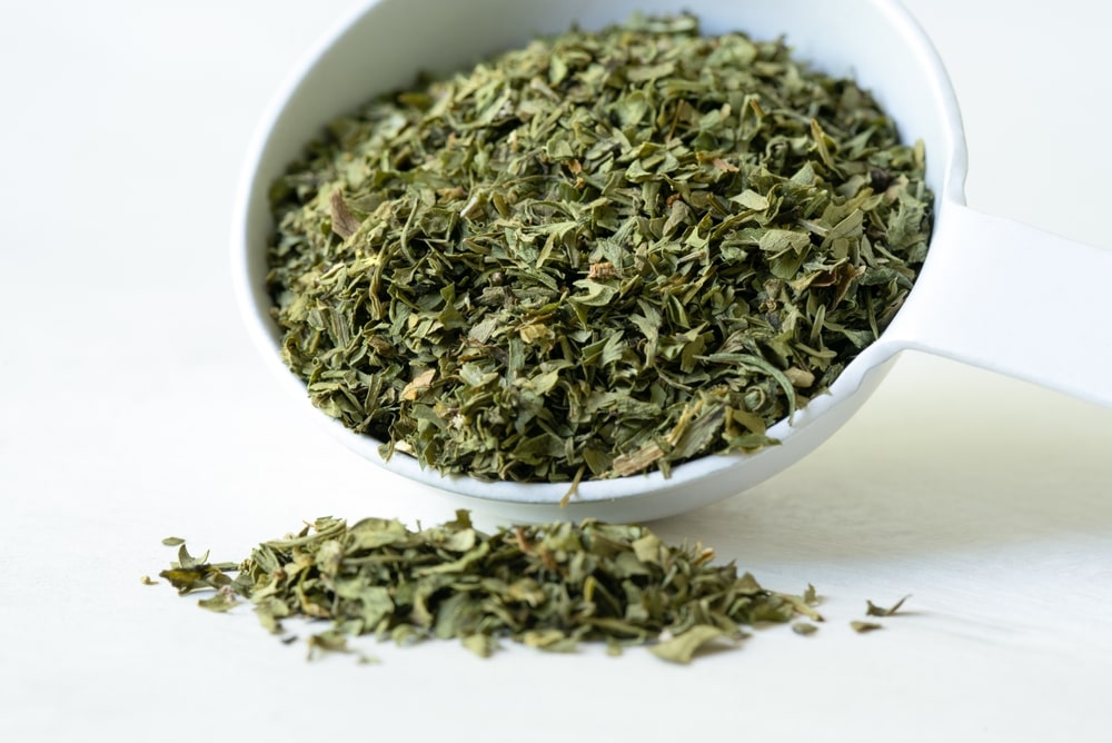 Cilantro