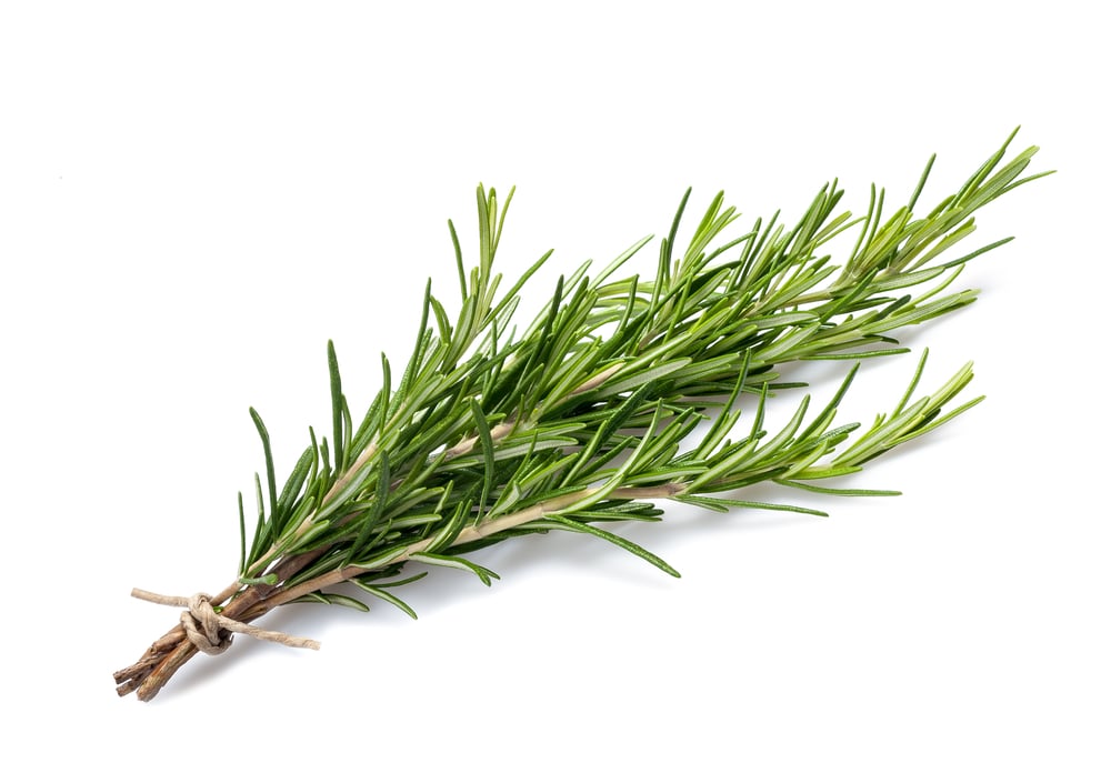 Rosemary