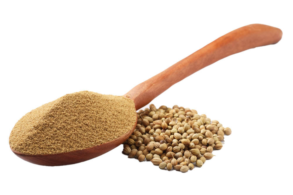 Coriander